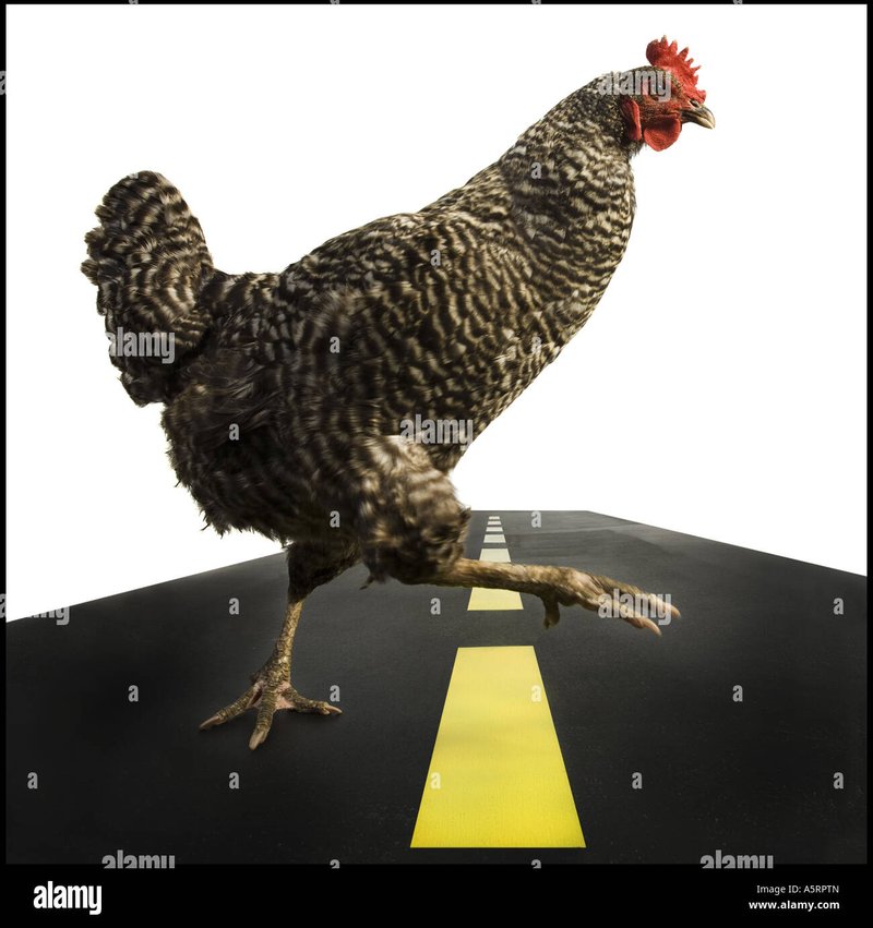 De Legendarische Chicken Road: Online Gokspel voor Nederlandse Spelaars, chicken road casino